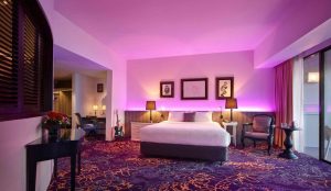 rock-star-suite-2016-2-web