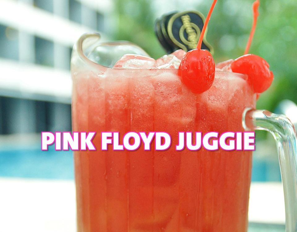 Pink Floyd JuggieWeb