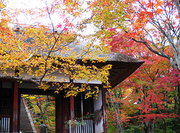 jojakkoji