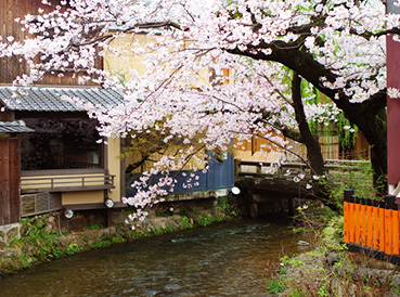 shirakawa