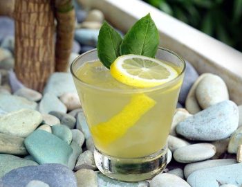 COCKTAIL OF THE MONTH APRIL 2019 | WILD BASIL COCKTAIL OF THE MONTH APRIL 2019 | WILD BASIL