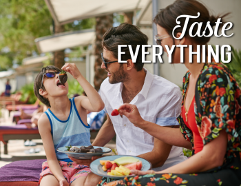 TASTE EVERYTHING TASTE EVERYTHING